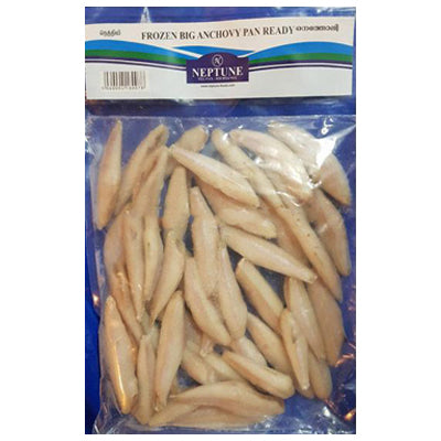 Neptune Anchovy(Natholi)