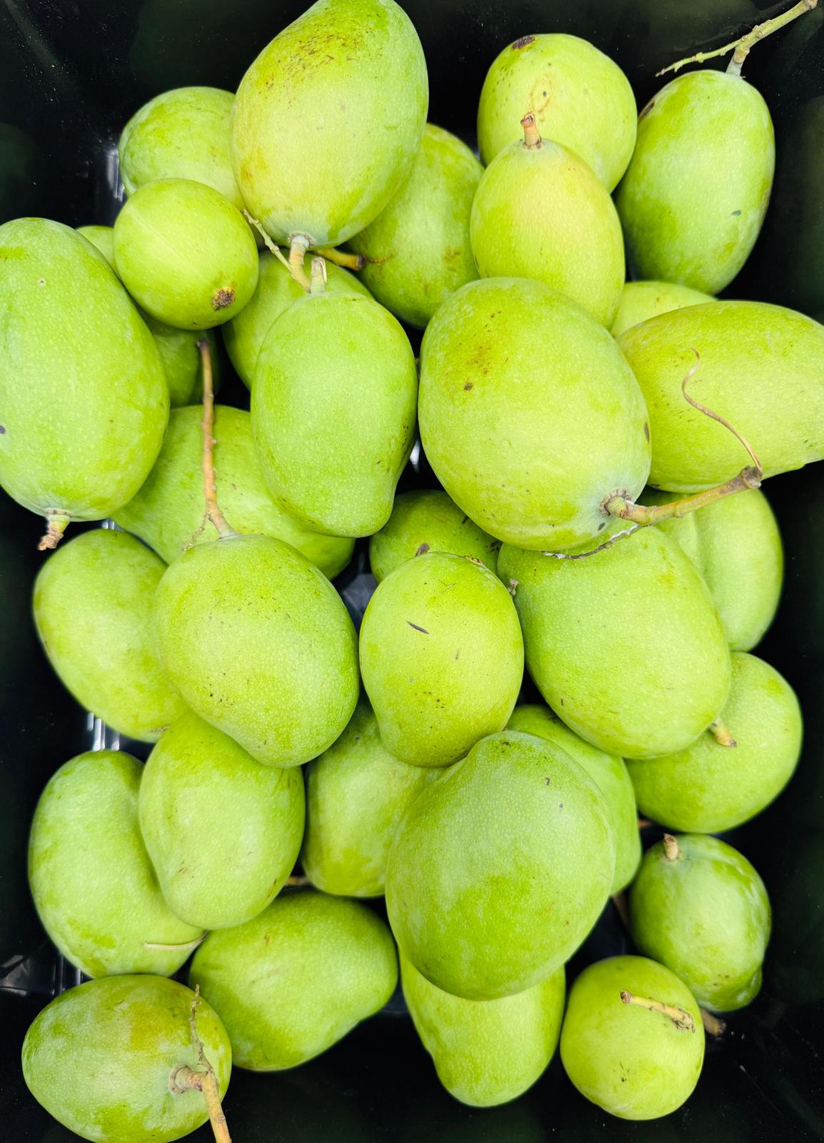 Green Mangoes