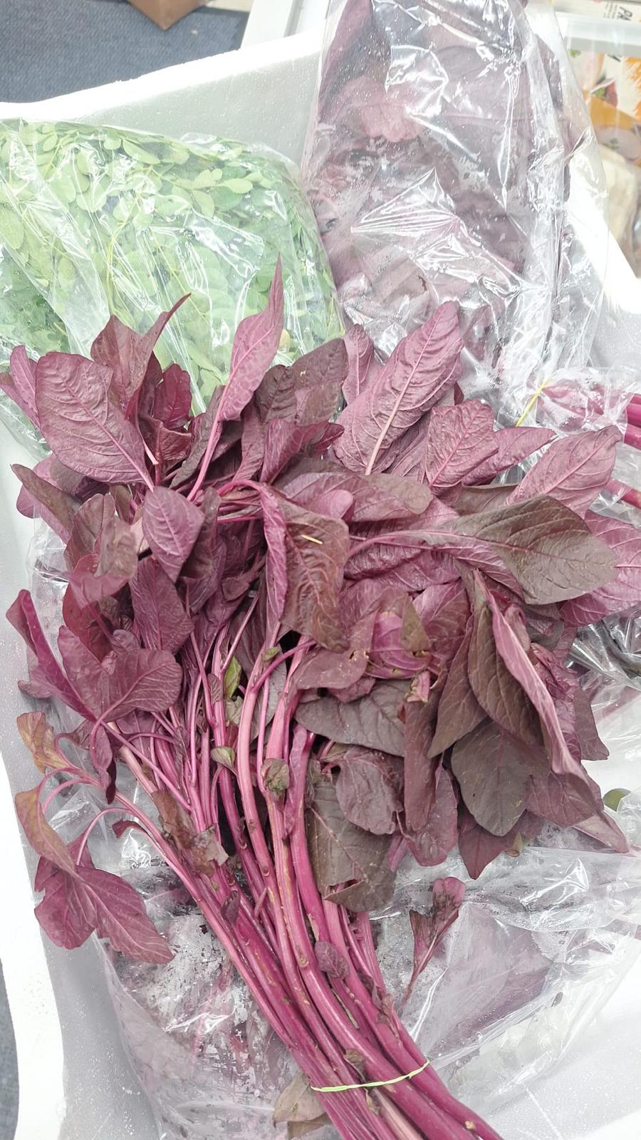 Red Cheera(Red Spinach)
