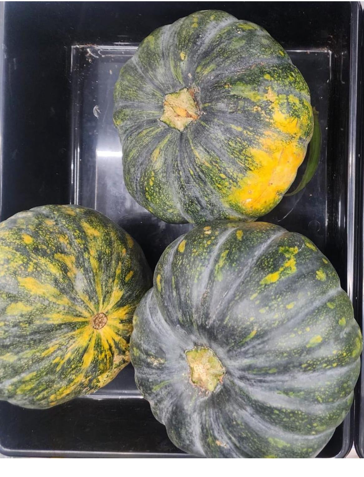 Green Pumpkin