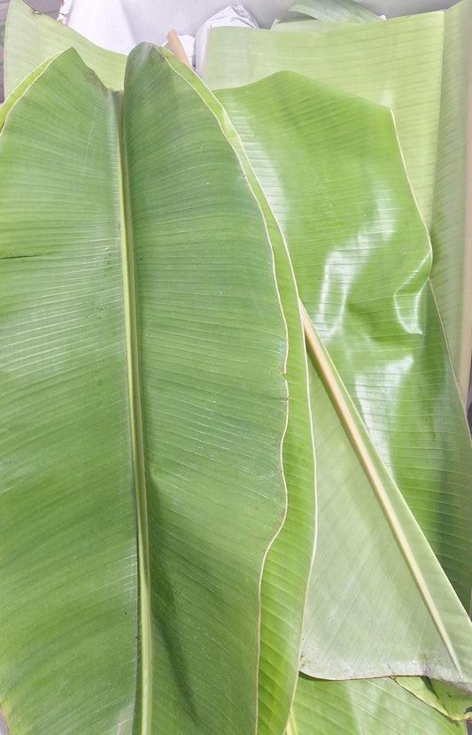 Banana Leaf