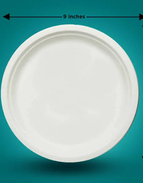 Disposable Paper Plates (Size 9) 25 in a packet