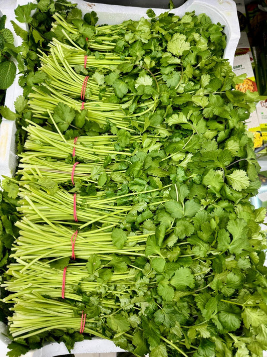Fresh Coriander Leaf(Bunches)