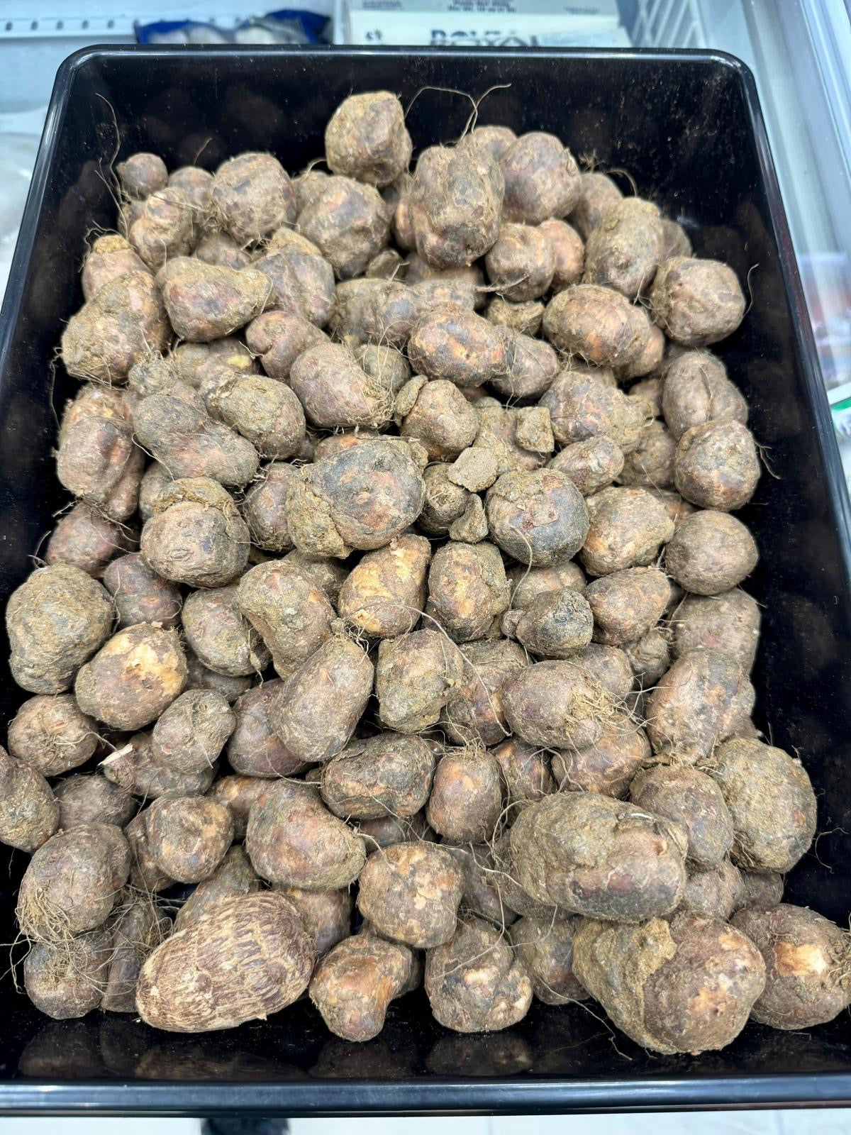 Fresh Koorkka(Chinese Potato)