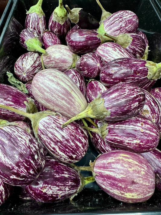 Brinjal (Vazhuthanaga)