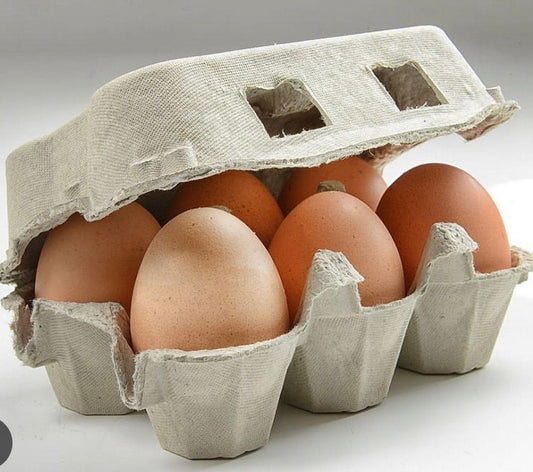 Chicken Eggs(6 in a packet)