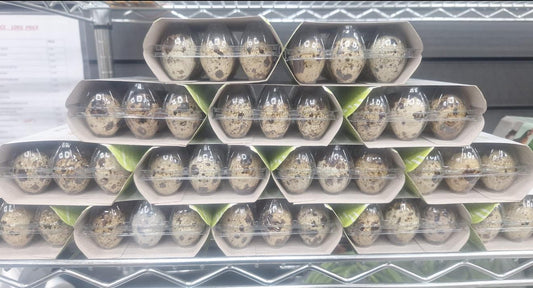 Quail Eggs
