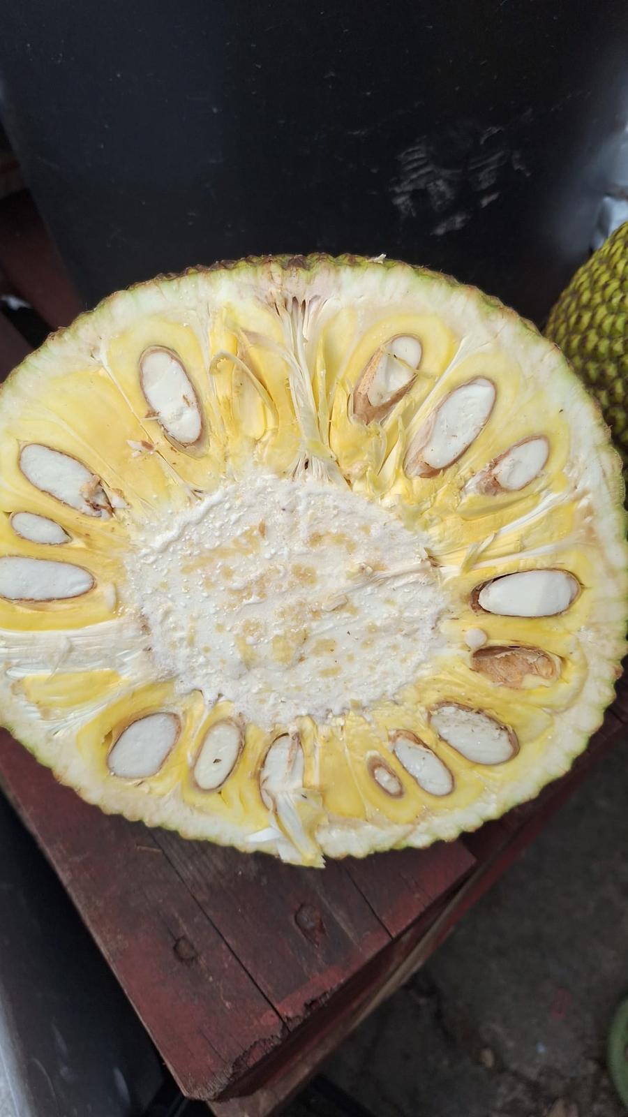 Riped Jackfruit (Chakkapazham)