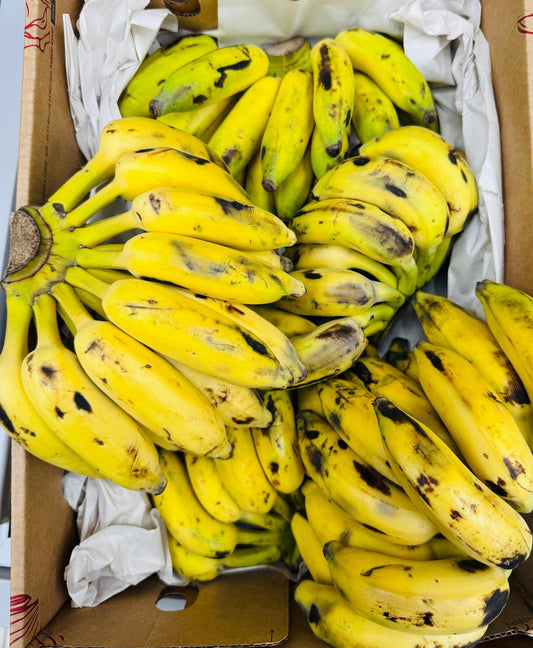 Galipoovan Banana(Nadan Cheriya Kaya)