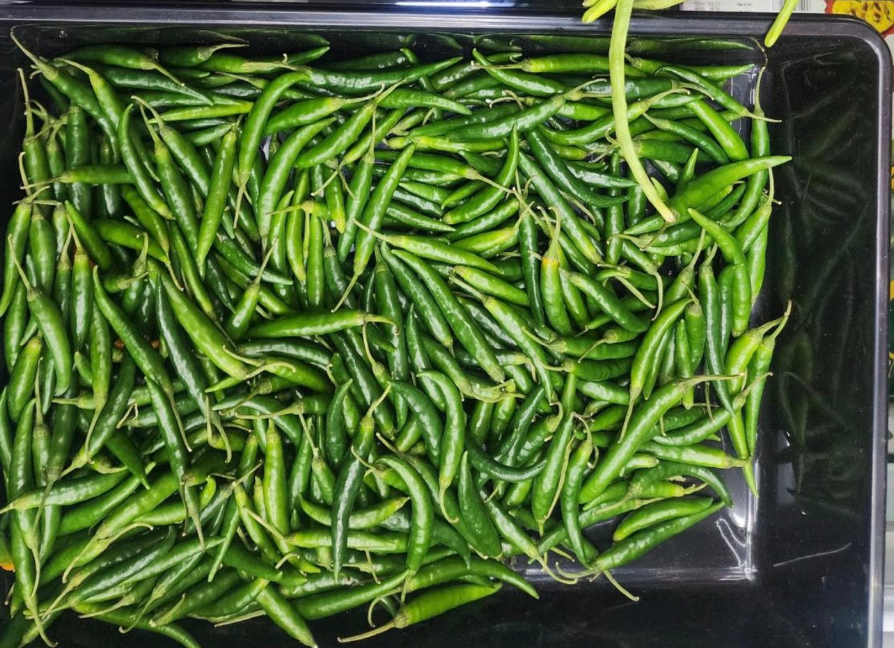 Rocket Chillies(Pachamulaku)